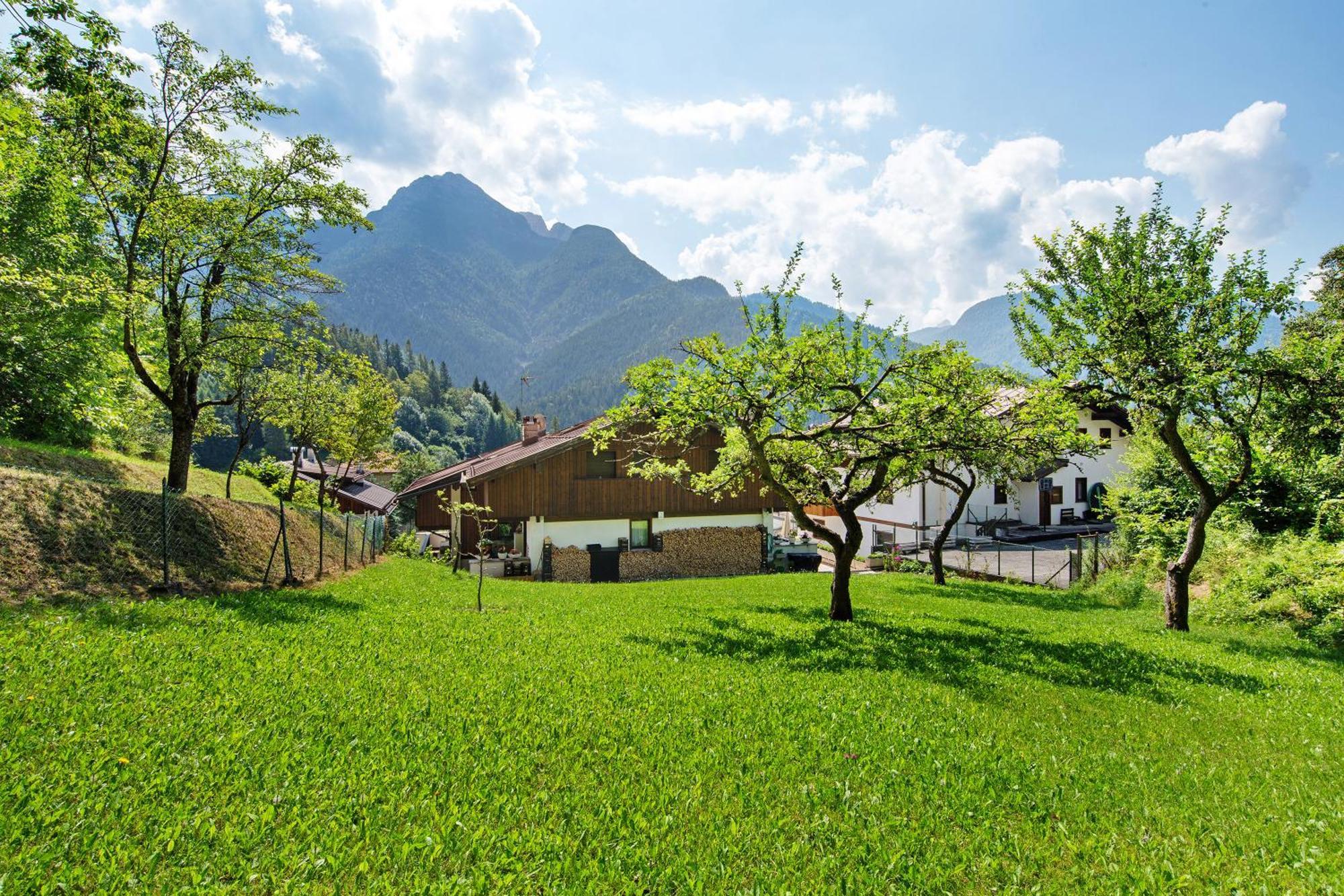 Monolocale Monti Pallidi Domegge di Cadore Dış mekan fotoğraf